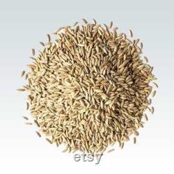 10Kg Sterilised Organic Rye Grain for mushroom grain spawn (10 x 1Kg Bags)