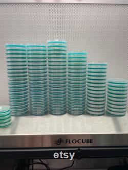 10 LME Agar 90mm Plates