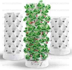 10 Layer 80Pots Vertical Hydroponic System Tower Garden Aeroponics Home Grow Kit Planting System Tools Kit