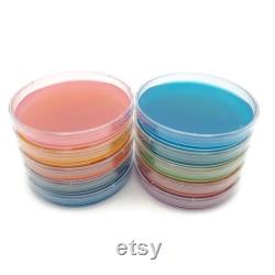 10 Malt Agar Petri Dishes, Assorted Color Sterilized Agar Plates, Individually Packaged 10 Precut Parafilm for Wrapping