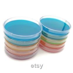 10 Malt Agar Petri Dishes, Assorted Color Sterilized Agar Plates, Individually Packaged 10 Precut Parafilm for Wrapping