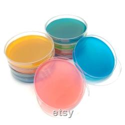 10 Malt Agar Petri Dishes, Assorted Color Sterilized Agar Plates, Individually Packaged 10 Precut Parafilm for Wrapping