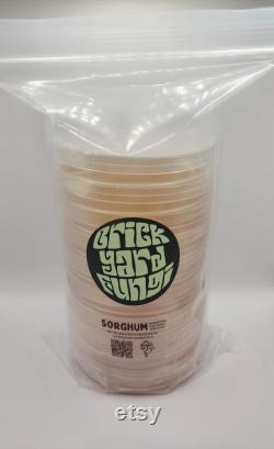 10 Pack Agar Sorghum Yeast Extract Sterile Pre Poured Nutrient Agar Petri Dishes