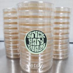 10 Pack Agar Sorghum Yeast Extract Sterile Pre Poured Nutrient Agar Petri Dishes