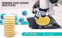 10 Sorghum Yeast Extract Agar Plates Sterile