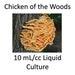 10 Ml Cc Chicken Of The Woods Liquid Culture