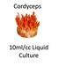 10 Ml Cc Cordycep Liquid Culture