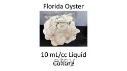 10 ml cc Florida Oyster liquid culture