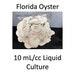 10 Ml Cc Florida Oyster Liquid Culture