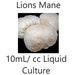 10 Ml Cc Lions Mane Liquid Culture