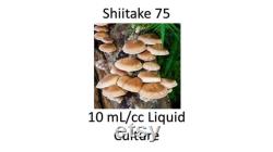10 ml cc Shiitake 75 liquid culture