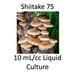10 Ml Cc Shiitake 75 Liquid Culture