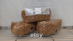 10 x 5lb Injection Port Sterilized Oat Grain Mushroom Spawn Bags