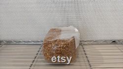 10 x 5lb Injection Port Sterilized Oat Grain Mushroom Spawn Bags