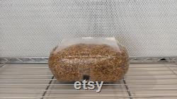 10 x 5lb Injection Port Sterilized Oat Grain Mushroom Spawn Bags