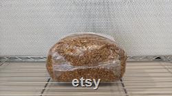 10 x 5lb Injection Port Sterilized Oat Grain Mushroom Spawn Bags