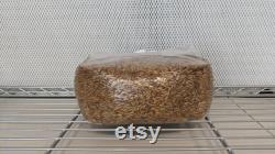 10 x 5lb Sterilized Oat Grain Mushroom Spawn Bags