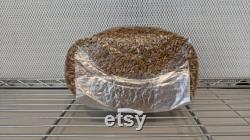 10 x 5lb Sterilized Oat Grain Mushroom Spawn Bags