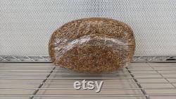 10 x 5lb Sterilized Oat Grain Mushroom Spawn Bags