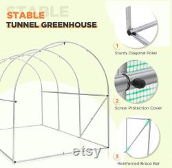 10 x 7 x 7 Tunnel Greenhouse Large Garden Plant Hot House with Roll-up Zippered Entry Door and 6 Roll-up Side Windows,