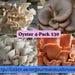 10ml 4-pack Oyster Mushroom Cultures For Mushroom Farming And Mycology