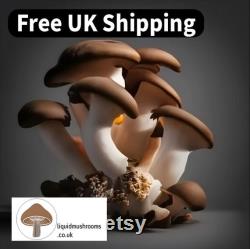 10mL Mushroom Liquid Culture