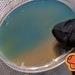 10x Agar Plates Blemish, Sterile, Pre-poured