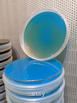 10x Agar Plates Blemish, sterile, pre-poured