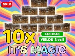 10x IT'S MAGIC Mushroom All In One Grow Bag 50lb 10 PACK