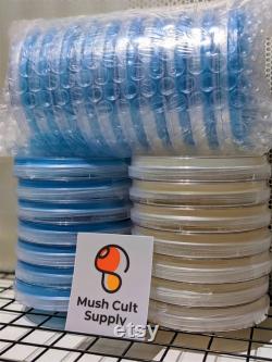 10x Mushroom Agar Plates Sterile, Pre-poured, MEA