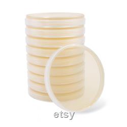 10x Pre-poured Nutrient Agar Dishes in 90mm Plates
