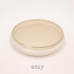 10x Pre-poured Nutrient Agar Dishes in 90mm Plates