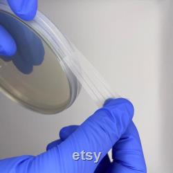 10x Pre-poured Nutrient Agar Dishes in 90mm Plates