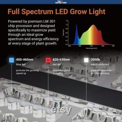 1200W LED Starter Kit Lrg (Yields 9-12 Plants LED 1200-Watts)