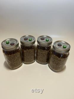 120x Self-healing injection port and 0.2micron Syringe filter attached Jar Lids for Mushroom Cultivation (Wide Mouth)