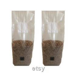 12 Rye Berry Mushroom Spawn Bags With Injection Port