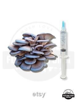 12 ml Mushroom Liquid Culture Syringe Thick Live Mycelium Grow Mushrooms at Home