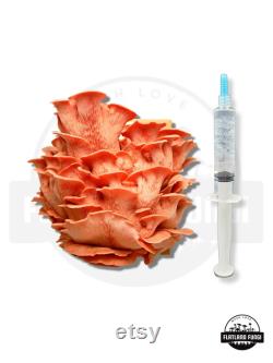 12 ml Mushroom Liquid Culture Syringe Thick Live Mycelium Grow Mushrooms at Home