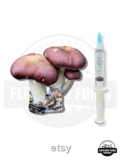 12 ml Mushroom Liquid Culture Syringe Thick Live Mycelium Grow Mushrooms at Home
