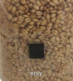 12 x 2 lb. Wheat Grain Spawn Substrate Bags