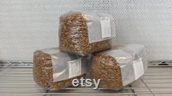 12 x 3lb Sterilized Oat Grain Mushroom Spawn Bags