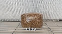 12 x 3lb Sterilized Oat Grain Mushroom Spawn Bags