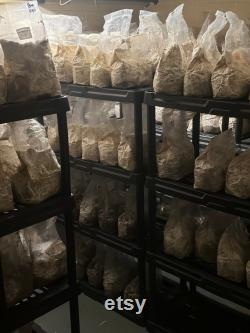 12lb Box Organic Soy Hull Pellet Mushroom Cultivation Great Lakes Mushroom Company