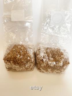12x 4lbs Hydrated, Sealed and Sterilized Rye Grain Bag