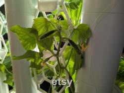12x Gardyn Trellis Grow your vining plants with ease Easy to Use Set of 12