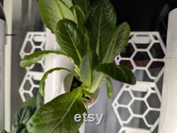 12x Gardyn Trellis Grow your vining plants with ease Easy to Use Set of 12