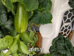 12x Gardyn Trellis Grow your vining plants with ease Easy to Use Set of 12