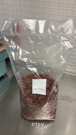 150 Sterile Milo Grain 4 lb Bags Shipped to You