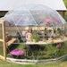16 Ft Diameter Geodesic Dome Greenhouse Kit With Clear Vinyl Cover