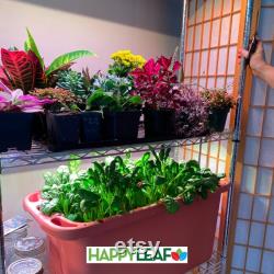 17 Happy Leaf LED, Full Spectrum Grow Light, USA Made, Perfect for Microgreens, Hydroponics, Seed Starting, Full Flower,